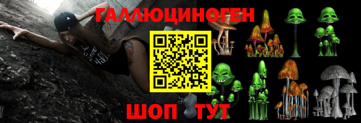 Галлюциногенные грибы MAGIC MUSHROOMS  Вход с VPN  Домодедово 